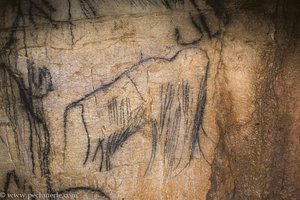ein Mammut in der Höhle von Pech Merle