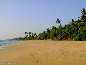 Strand bei der Turtle-Hatcheri