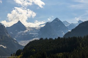 Die Sicht auf den Rosenlauigletscher