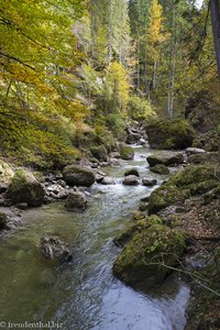 Der Ostertalbach bei Gunzesried