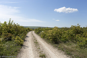 auf der Ebene oberhalb Morovaia bei Orheiul Vechi in Moldawien