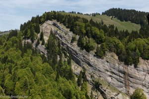 Nagelfluhwand unterhalb von Spicher-West und Neuwald