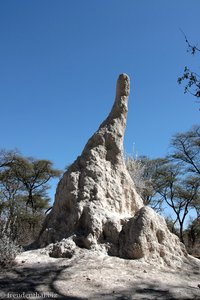 Termitenhügel in der Gegend von Khorixas