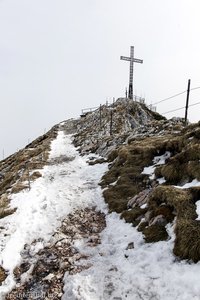 Weg hinauf zum Geiereck-Gipfel (1805 m)