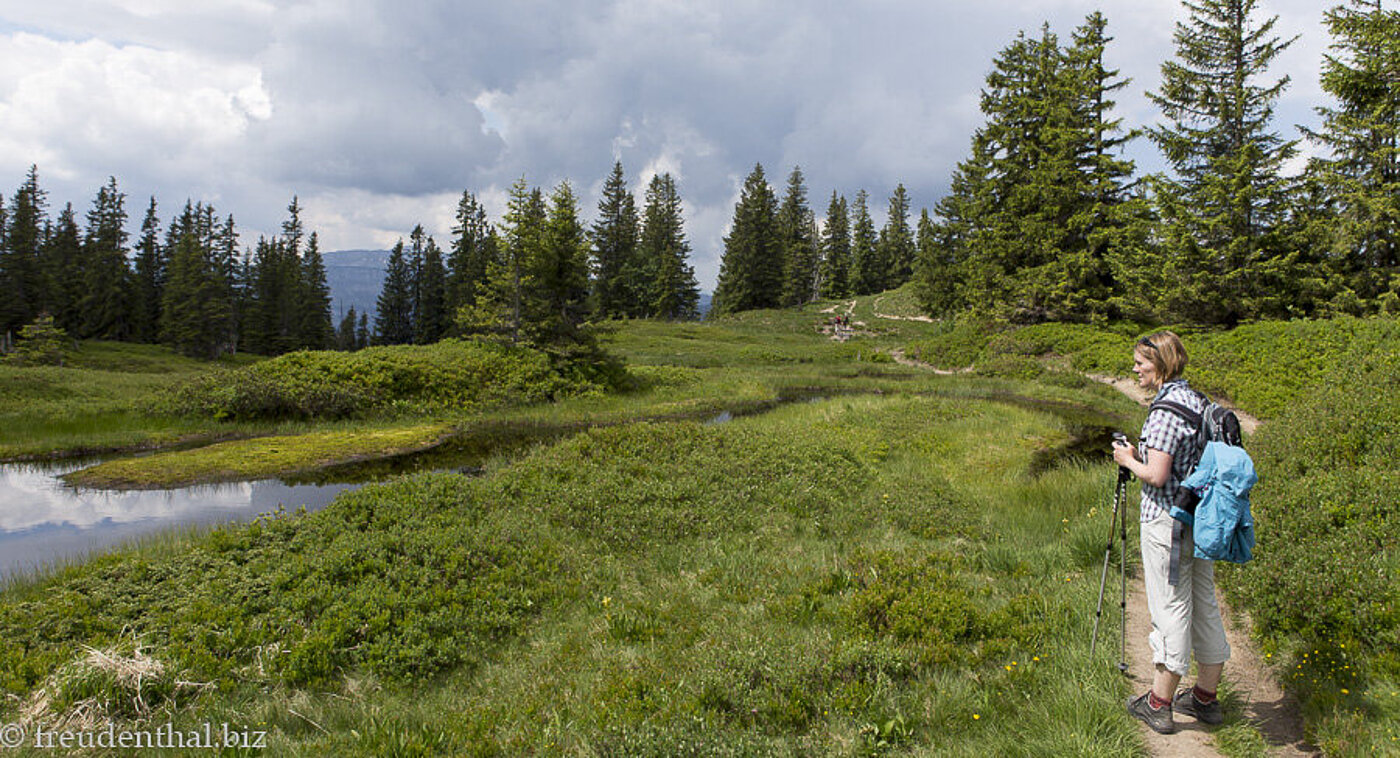 FFH-Gebiet Hörnergruppe
