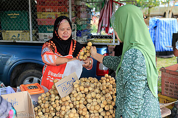 auf dem Markt von Yao Yai (die Früchte heißen Langsat)