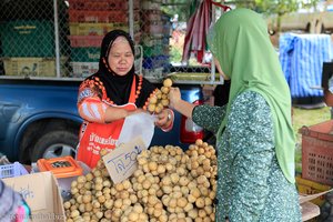 auf dem Markt von Yao Yai (die Früchte heißen Langsat)