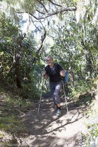 Lars auf dem Weg zum Piton des Neiges