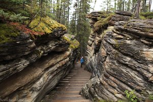 trocken gefallener Tunnel der Athabasca Falls