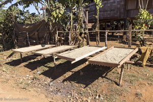 Stellage zum Trocknen von Kaffee in Laos