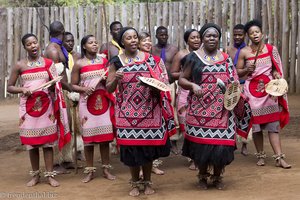 Folklore bei den Swasis im Cultural Village von Swasiland