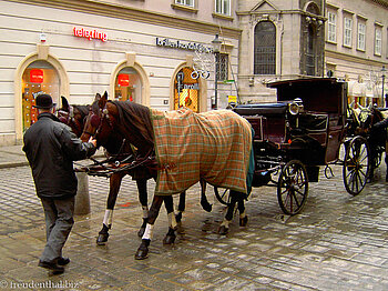unser netter Fiaker mit seiner schönen Fiaker