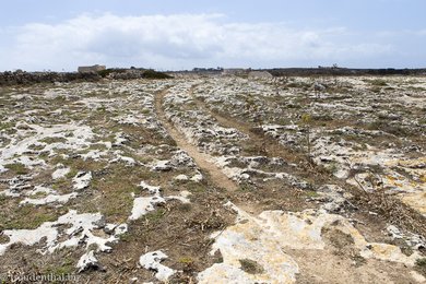 die Cart Ruts - prähistorischer Schleifspuren auf Malta