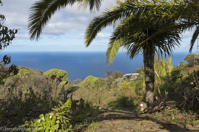 La Palma | Wanderungen auf der Isla Bonita