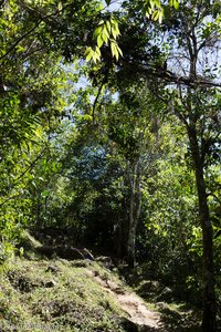 Wanderweg zur Comandancia de la Plata