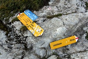 links verläuft der Toggenburger Höhenweg, rechts geht es zum Gipfel