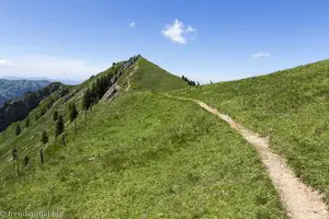 Beim Abstecher zum Sedererstuiben