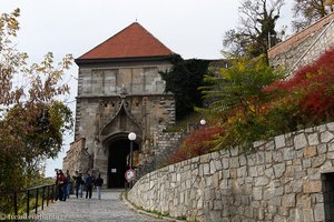 Weg zur Burg von Bratislava