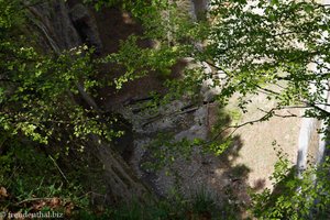 Blick steil hinab in die Schlucht des Neckers