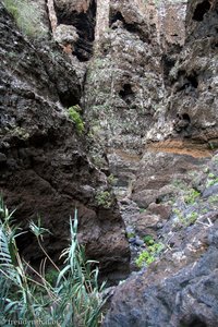 im Felsenlabyrinth der Masca-Schlucht