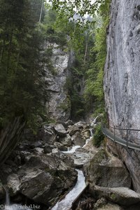 Die wilde Pöllatschlucht unterhalb vom Schloss Neuschwanstein.