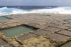 Salzpfannen auf Gozo - Xwejni Salt Pans