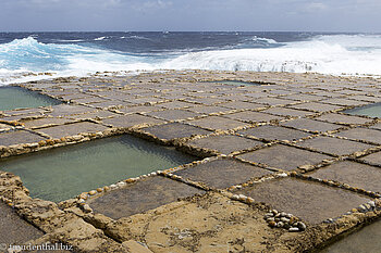 Salzpfannen auf Gozo - Xwejni Salt Pans
