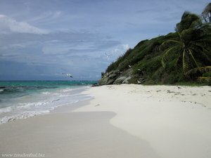 Sandstrand von Jamesby, Tobago Cays