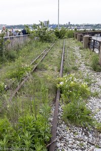 naturbelassener High Line Park in Chelsea