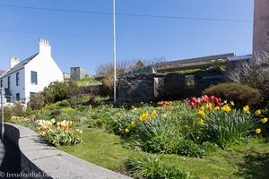 Blumengarten in Scalloway