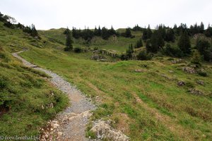 Wanderwerg zwischen Oberchäseren und Hinter Höhi