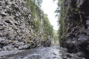 tunnelartiger Abschnitt in der Schlucht des Bras de la Plaine