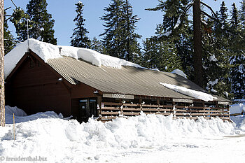 Kings Canyon - beim Besucherzentrum