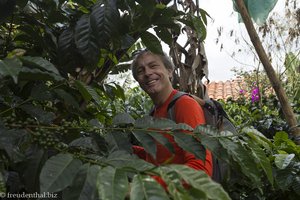 Lars als Chapolero, ein Kaffeesammler in Kolumbien.