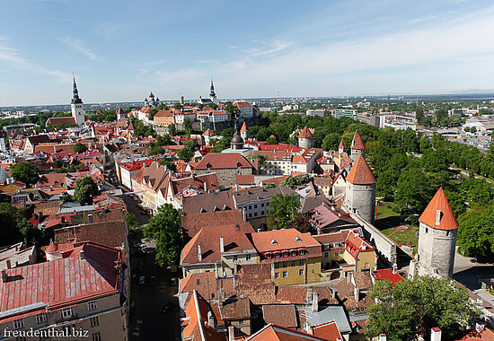 Aussicht von der Olaikirche über die Altstadt von Tallinn