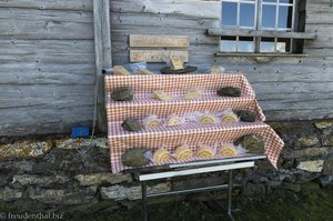 Alpkäse bei der Mittleren Wandelalp