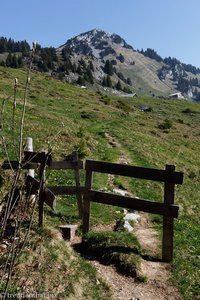 Wanderweg von Amden auf die Alp Walau