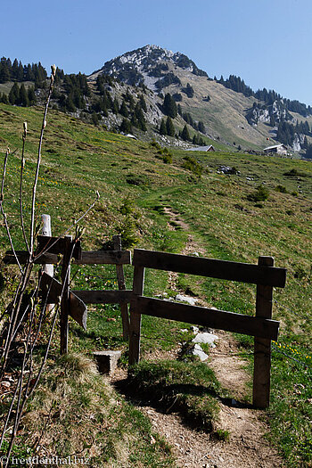 Wanderweg von Amden auf die Alp Walau