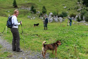 Begegnung mit Hund