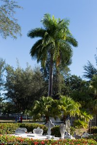 Gartenanlage beim Cementerio Tomás Acea