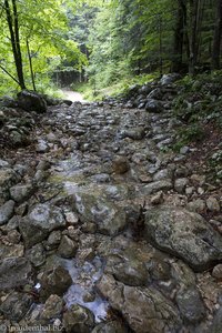 Ein Bach plätschert über den Wanderweg.