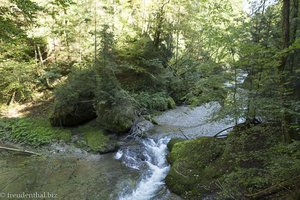 In der Eistobelschlucht von Riedholz