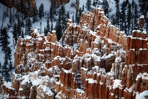 Blick auf die Hoodos im Bryce Canyon