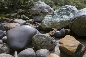 Flusskiesel, teilweise mit eingeschlossenen Fossilien.