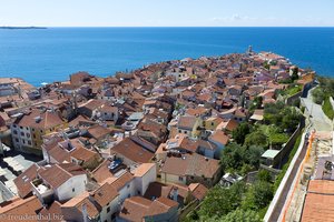 Die Aussciht von der Campanile über die Dächer von Piran