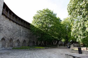 Garten des Dänischen Königs in Tallinn