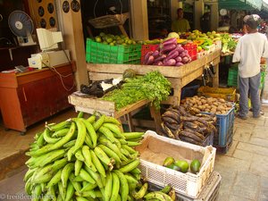 Kochbananen auf dem Markt in Higüey