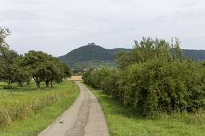 Blick auf die Burg Hohenneuffen - Wanderung Jusi