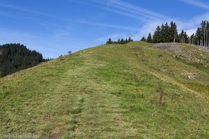 Wiesenweg bei der Kappeler Alp