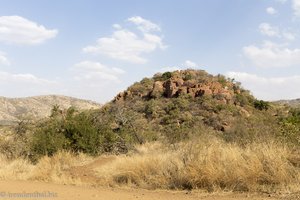 Landschaft in Pilanesberg